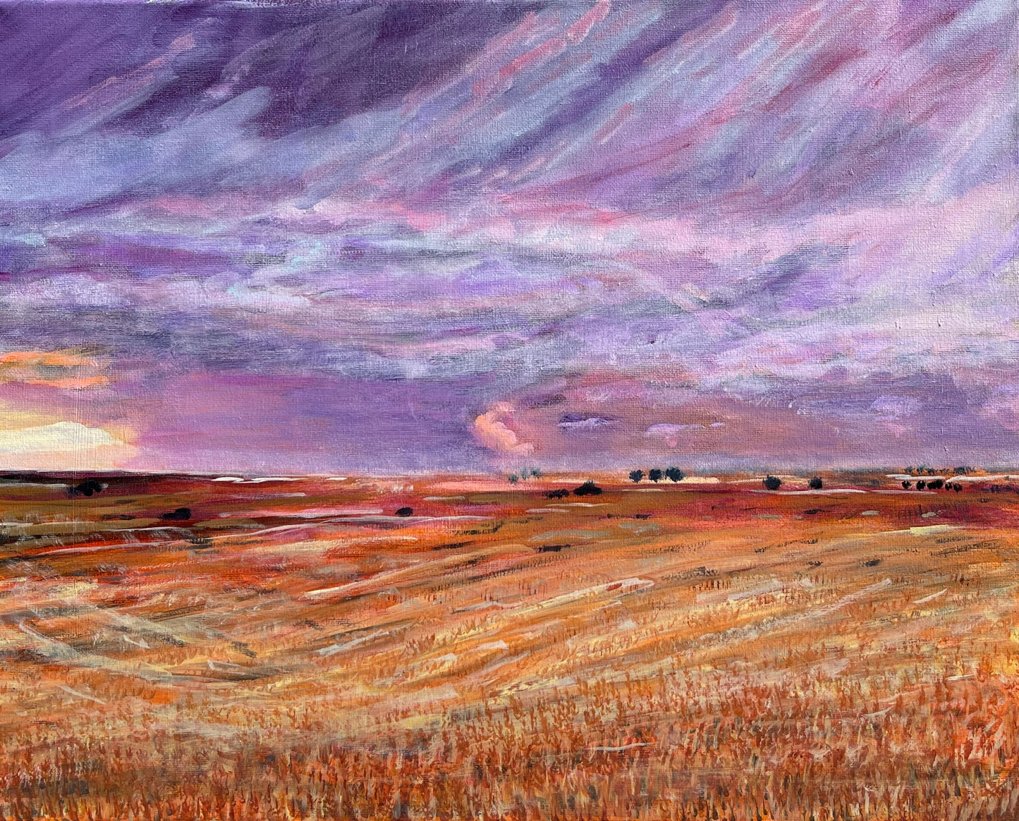 Twilight Fields